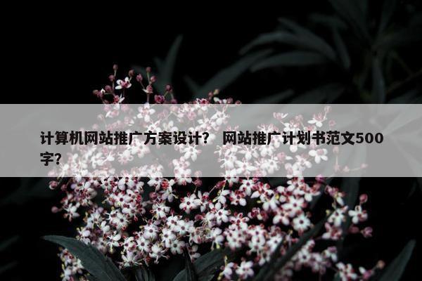 计算机网站推广方案设计？ 网站推广计划书范文500字？