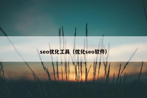 seo优化工具（优化seo软件）