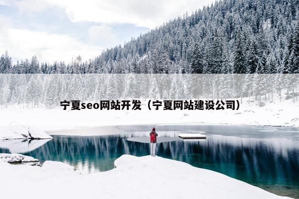 宁夏seo网站开发（宁夏网站建设公司）