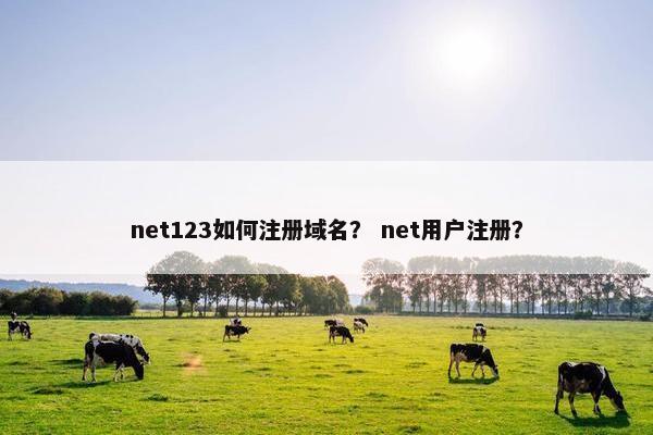 net123如何注册域名？ net用户注册？
