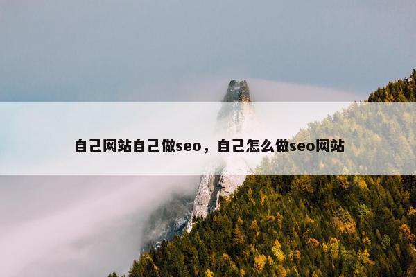 自己网站自己做seo，自己怎么做seo网站