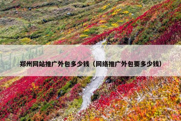 郑州网站推广外包多少钱（网络推广外包要多少钱）