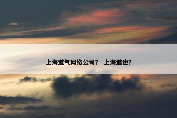 上海道气网络公司？ 上海道也？