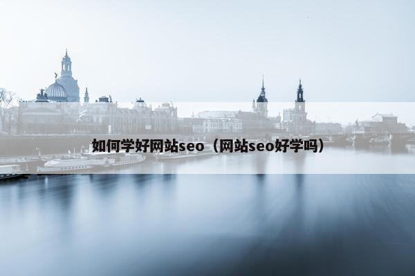 如何学好网站seo（网站seo好学吗）