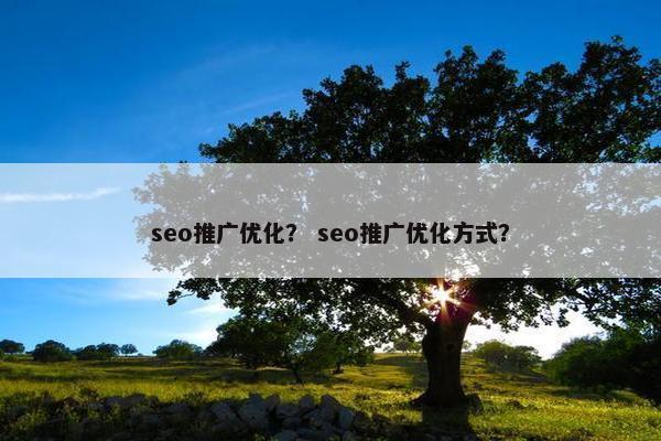 seo推广优化？ seo推广优化方式？