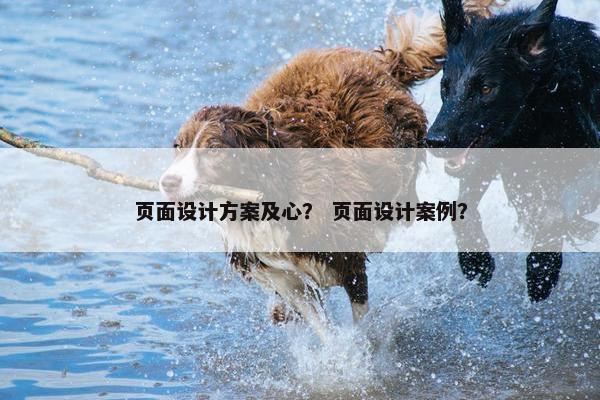 页面设计方案及心？ 页面设计案例？
