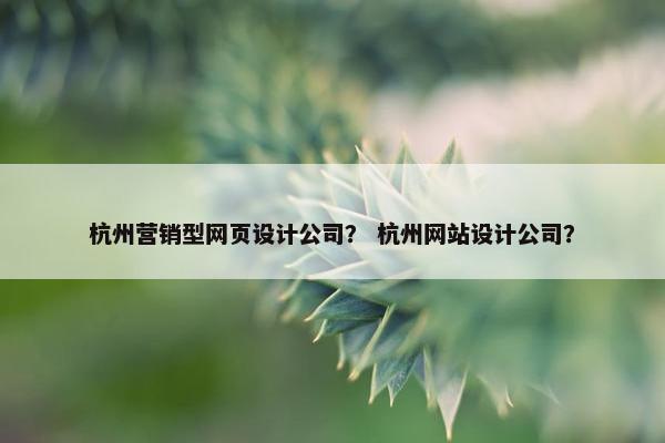 杭州营销型网页设计公司？ 杭州网站设计公司？