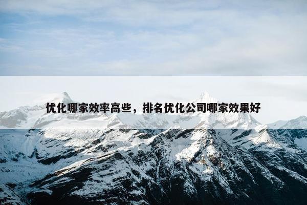 优化哪家效率高些，排名优化公司哪家效果好