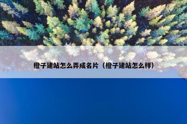 橙子建站怎么弄成名片（橙子建站怎么样）