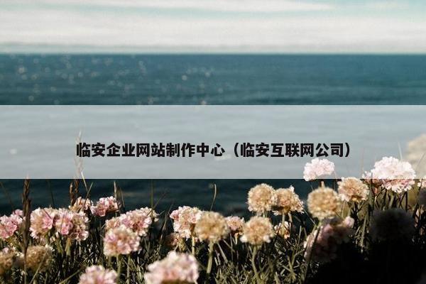 临安企业网站制作中心（临安互联网公司）