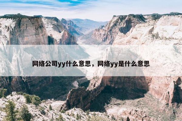 网络公司yy什么意思，网络yy是什么意思