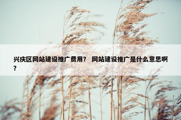 兴庆区网站建设推广费用？ 网站建设推广是什么意思啊？