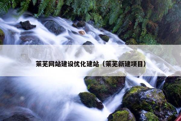 莱芜网站建设优化建站（莱芜新建项目）