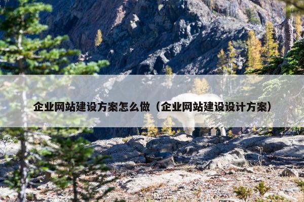 企业网站建设方案怎么做（企业网站建设设计方案）