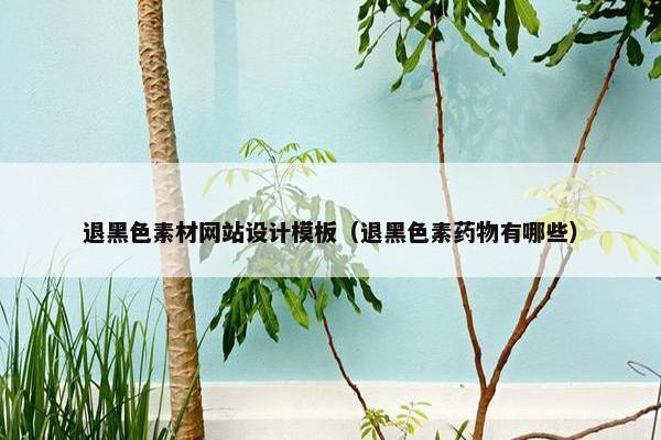 退黑色素材网站设计模板（退黑色素药物有哪些）