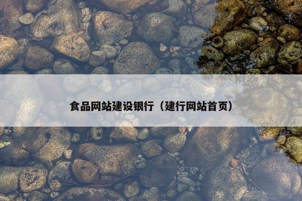 食品网站建设银行（建行网站首页）