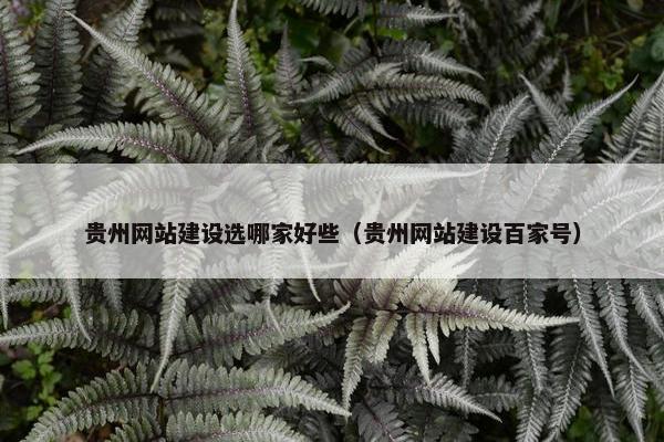 贵州网站建设选哪家好些（贵州网站建设百家号）