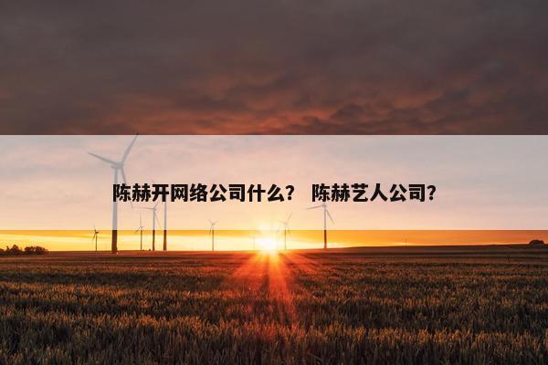 陈赫开网络公司什么？ 陈赫艺人公司？