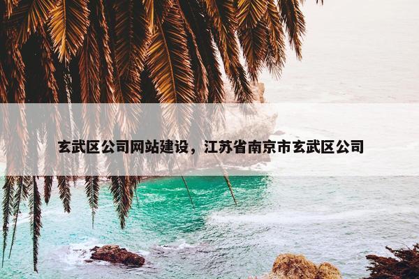 玄武区公司网站建设，江苏省南京市玄武区公司