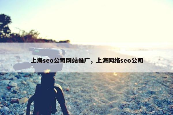 上海seo公司网站推广，上海网络seo公司