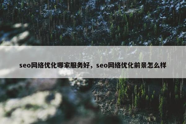 seo网络优化哪家服务好，seo网络优化前景怎么样
