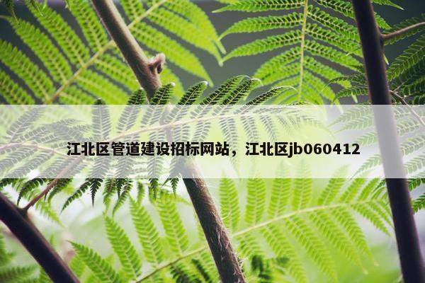 江北区管道建设招标网站，江北区jb060412