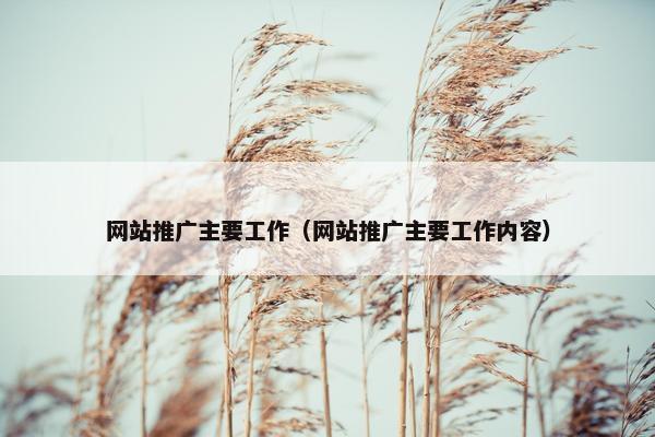 网站推广主要工作（网站推广主要工作内容）