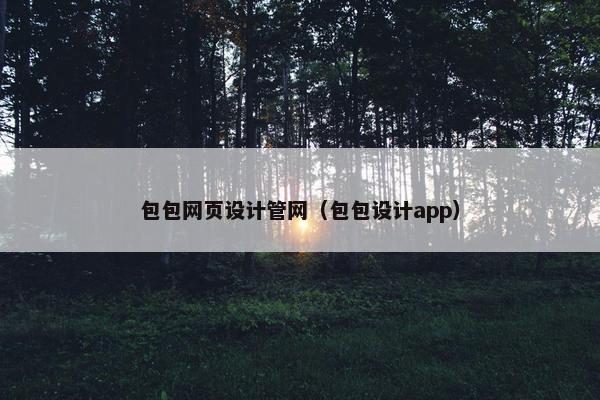 包包网页设计管网（包包设计app）