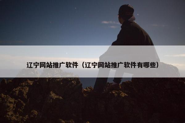 辽宁网站推广软件（辽宁网站推广软件有哪些）