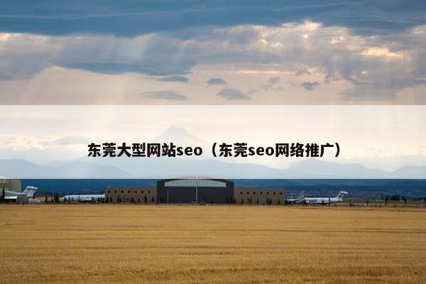 东莞大型网站seo（东莞seo网络推广）