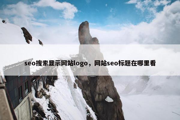 seo搜索显示网站logo，网站seo标题在哪里看
