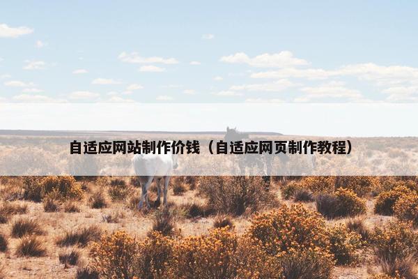 自适应网站制作价钱（自适应网页制作教程）