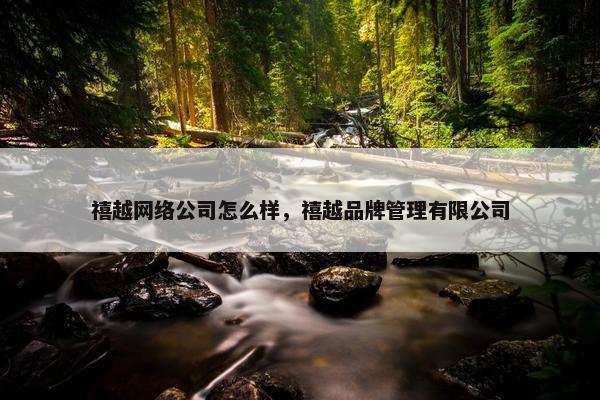 禧越网络公司怎么样，禧越品牌管理有限公司