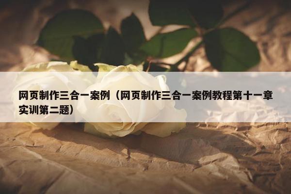 网页制作三合一案例（网页制作三合一案例教程第十一章实训第二题）