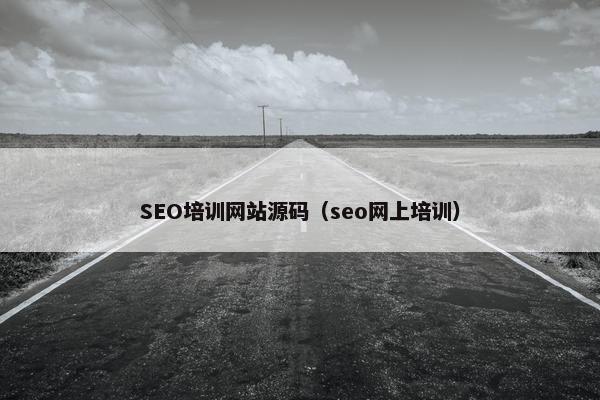 SEO培训网站源码（seo网上培训）