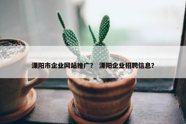 溧阳市企业网站推广？ 溧阳企业招聘信息？