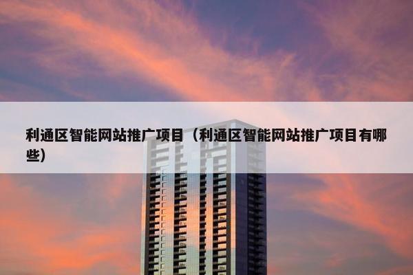 利通区智能网站推广项目（利通区智能网站推广项目有哪些）