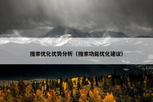 搜索优化优势分析（搜索功能优化建议）