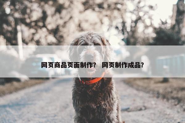 网页商品页面制作？ 网页制作成品？
