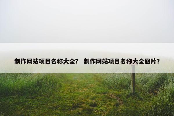 制作网站项目名称大全？ 制作网站项目名称大全图片？