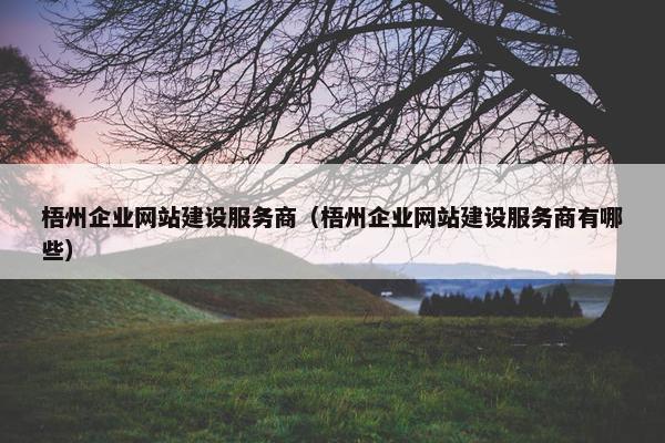 梧州企业网站建设服务商（梧州企业网站建设服务商有哪些）