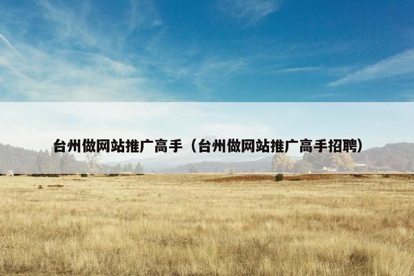 台州做网站推广高手（台州做网站推广高手招聘）