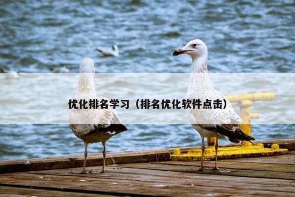 优化排名学习（排名优化软件点击）