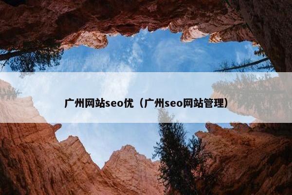 广州网站seo优（广州seo网站管理）