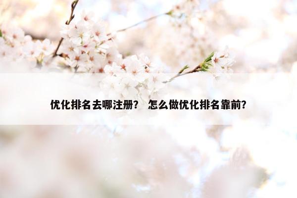 优化排名去哪注册？ 怎么做优化排名靠前？