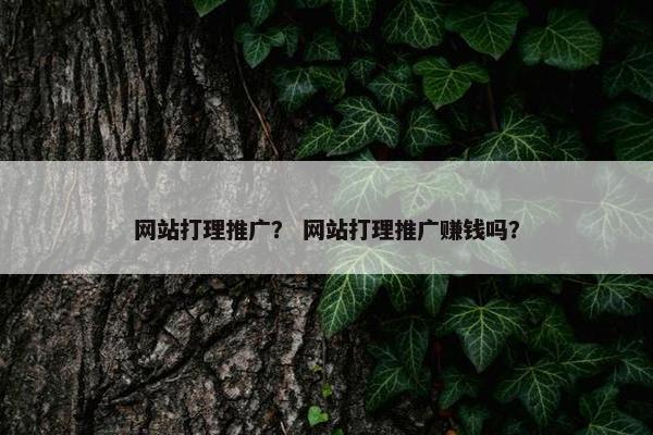 网站打理推广？ 网站打理推广赚钱吗？