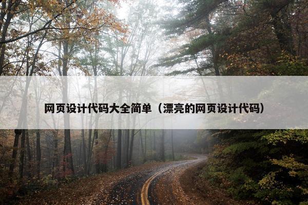 网页设计代码大全简单（漂亮的网页设计代码）