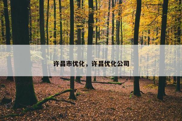 许昌市优化，许昌优化公司