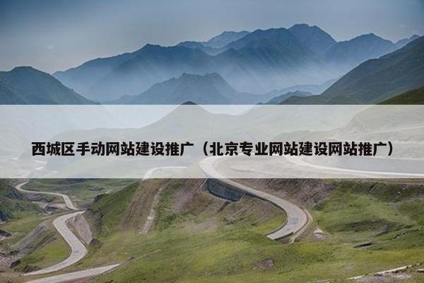 西城区手动网站建设推广（北京专业网站建设网站推广）