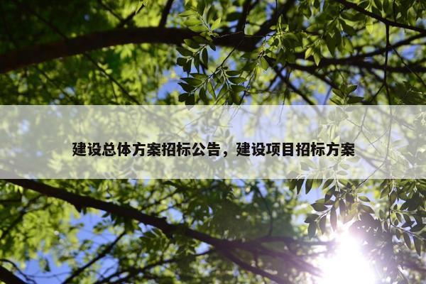 建设总体方案招标公告，建设项目招标方案